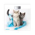 Весы напольные Centek CT-2426 Kitten