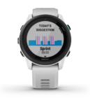 Смарт-часы Garmin Forerunner 745 Whitestone