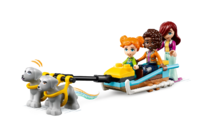 Конструктор LEGO Friends 41760 "Праздничное приключение в Иглу"