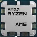 Процессор AMD Ryzen 5 9600X Box