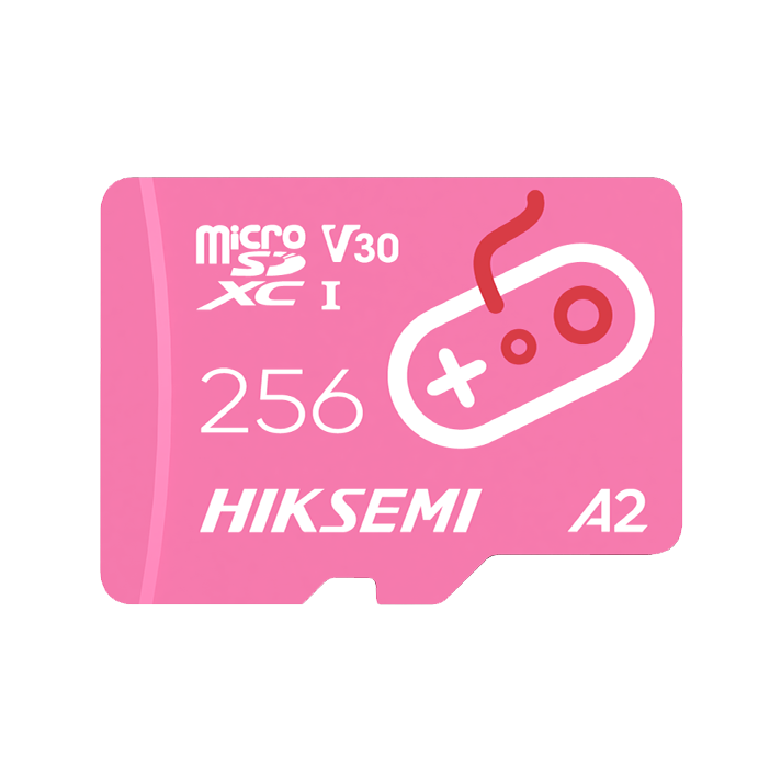 Карта памяти microSD Hiksemi City Fun 256GB